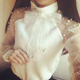 Elegant Casual Chiffon Blouse in Transparent Yarn