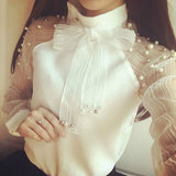 Elegant Casual Chiffon Blouse in Transparent Yarn